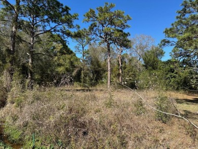 Beach Lot For Sale in Apalachicola, Florida