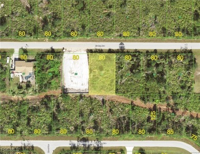 Beach Lot For Sale in Port Charlotte, Florida