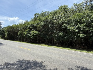 Beach Lot For Sale in Little Egg Harbor, New Jersey