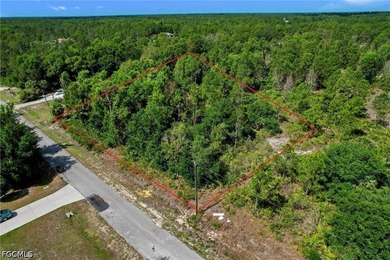 Beach Lot For Sale in Lehigh Acres, Florida