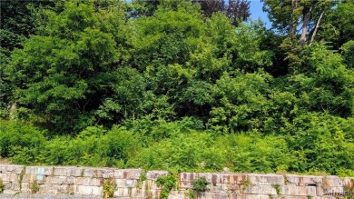 Beach Lot For Sale in Youngstown, New York
