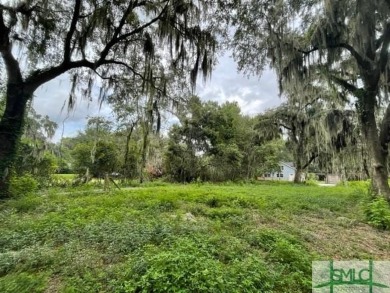 Beach Home For Sale in Savannah, Georgia