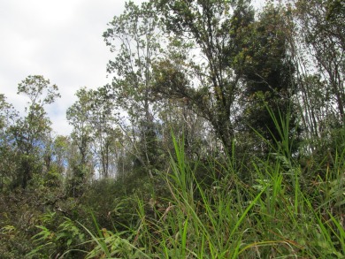 Beach Lot Active Under Contract in Keaau, Hawaii