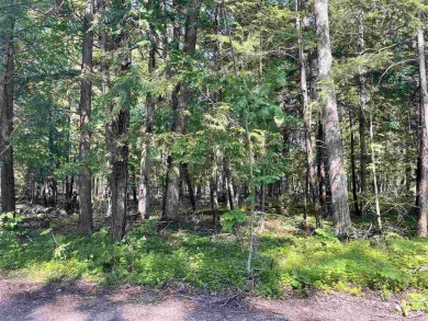 Beach Lot For Sale in Harbor Springs, Michigan