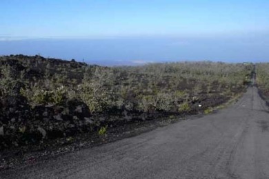 Beach Lot For Sale in Ocean View, Hawaii