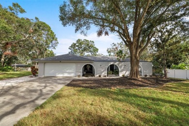 Beach Home For Sale in Palm Harbor, Florida