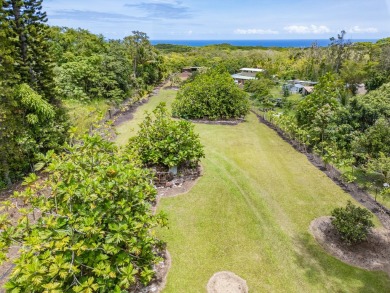 Beach Acreage For Sale in Pahoa, Hawaii