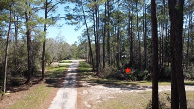 Beach Lot For Sale in Carabelle, Florida