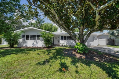 Beach Home For Sale in Clearwater, Florida