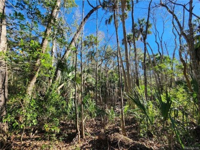 Beach Lot Off Market in Homosassa, Florida