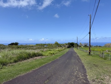 Beach Acreage For Sale in Hakalau, Hawaii