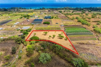 Beach Acreage Sale Pending in Waialua, Hawaii