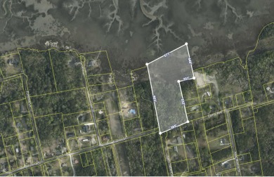 Beach Lot For Sale in Mount Pleasant, South Carolina