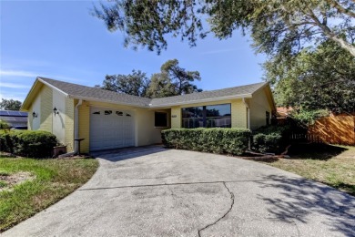 Beach Home For Sale in Tarpon Springs, Florida