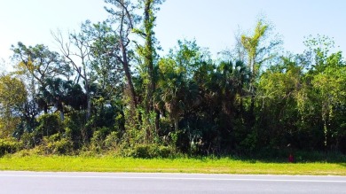 Beach Commercial For Sale in Apalachicola, Florida