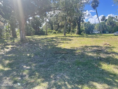 Beach Lot For Sale in Daytona Beach, Florida