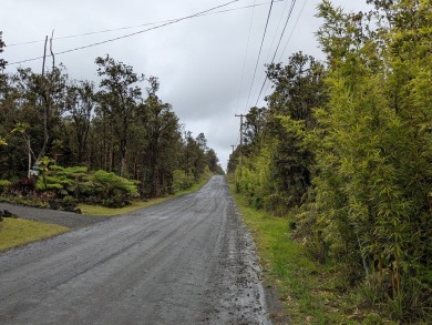 Beach Acreage For Sale in Volcano, Hawaii