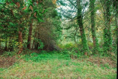 Beach Lot For Sale in Point Roberts, Washington