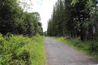 Beach Acreage For Sale in Kurtistown, Hawaii