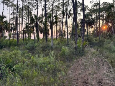 Beach Acreage For Sale in Port St Joe, Florida