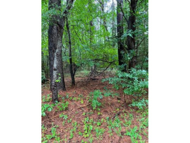 Beach Lot For Sale in Heathsville, Virginia