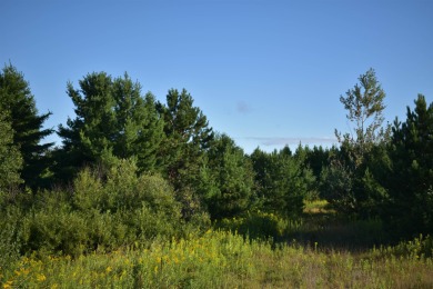 Beach Lot For Sale in Washburn, Wisconsin