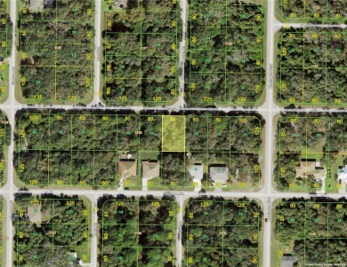 Beach Lot Sale Pending in Port Charlotte, Florida