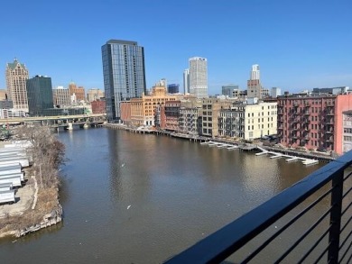 Beach Condo For Sale in Milwaukee, Wisconsin