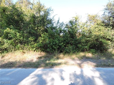 Beach Lot For Sale in Lehigh Acres, Florida