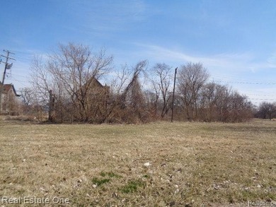 Beach Lot For Sale in Detroit, Michigan