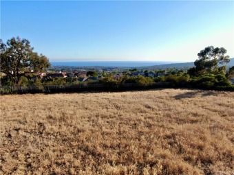 Beach Lot Off Market in Laguna Niguel, California