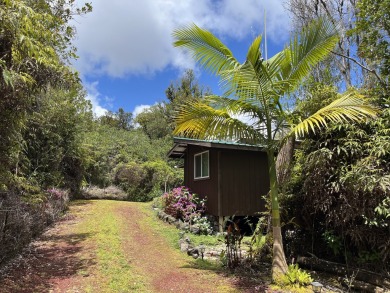 Beach Home For Sale in Mountain View, Hawaii