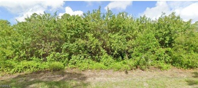 Beach Lot For Sale in Port Charlotte, Florida