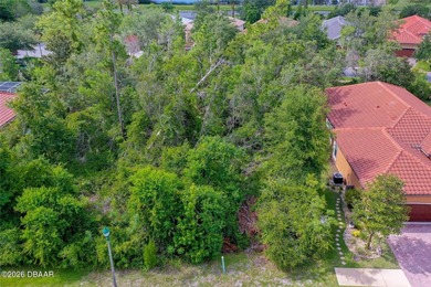 Beach Lot For Sale in Ormond Beach, Florida