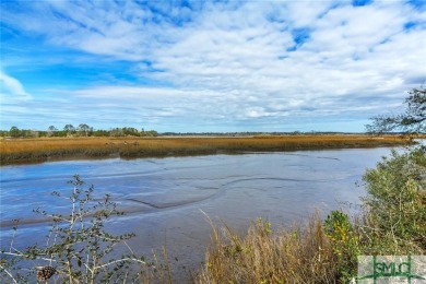 Beach Lot For Sale in Townsend, Georgia