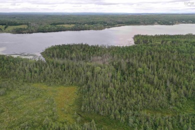 Beach Acreage Off Market in Pondville,