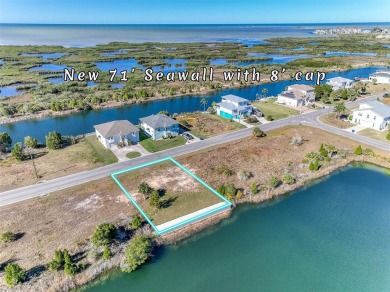 Beach Lot For Sale in Hernando Beach, Florida