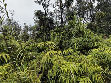 Beach Acreage For Sale in Volcano, Hawaii