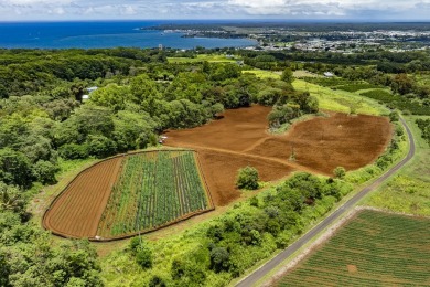 Beach Home For Sale in Hilo, Hawaii