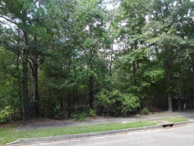 Beach Lot For Sale in Georgetown, South Carolina