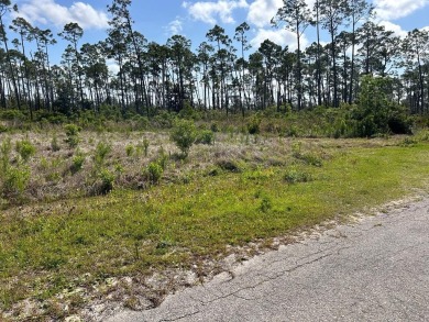 Beach Lot For Sale in Port St Joe, Florida