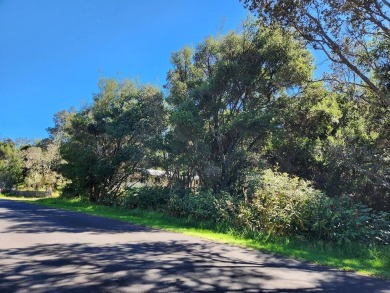 Beach Lot For Sale in Volcano, Hawaii