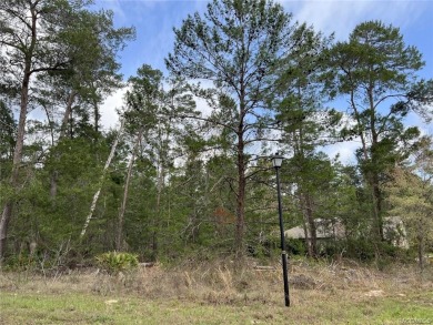 Beach Lot Off Market in Homosassa, Florida