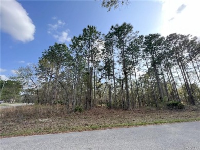 Beach Lot Off Market in Homosassa, Florida