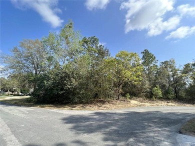 Beach Lot Off Market in Homosassa, Florida