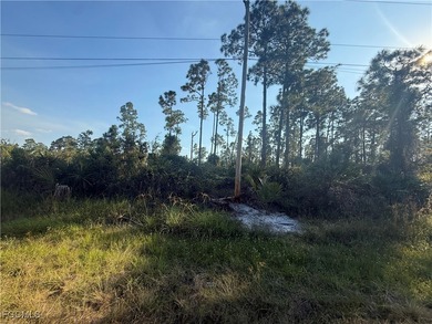 Beach Lot For Sale in Lehigh Acres, Florida