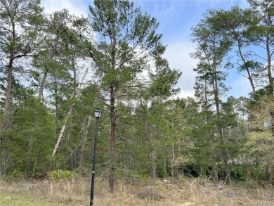 Beach Lot Sale Pending in Homosassa, Florida