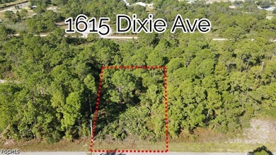 Beach Lot For Sale in Lehigh Acres, Florida