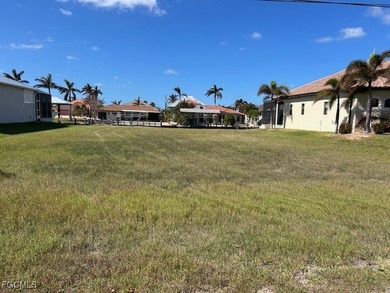 Beach Lot For Sale in St. James City, Florida