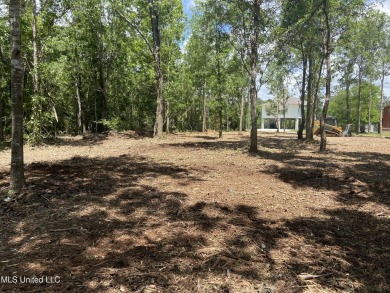 Beach Lot For Sale in Pearlington, Mississippi